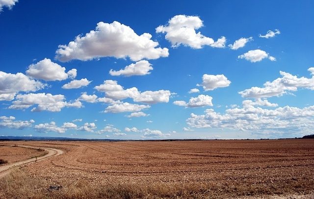 Landwirtschaft
