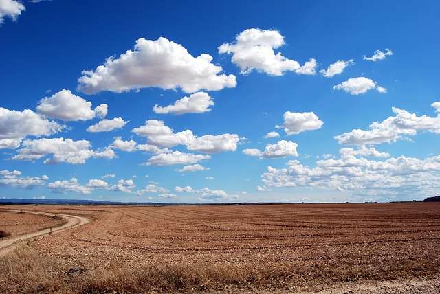 Landwirtschaft